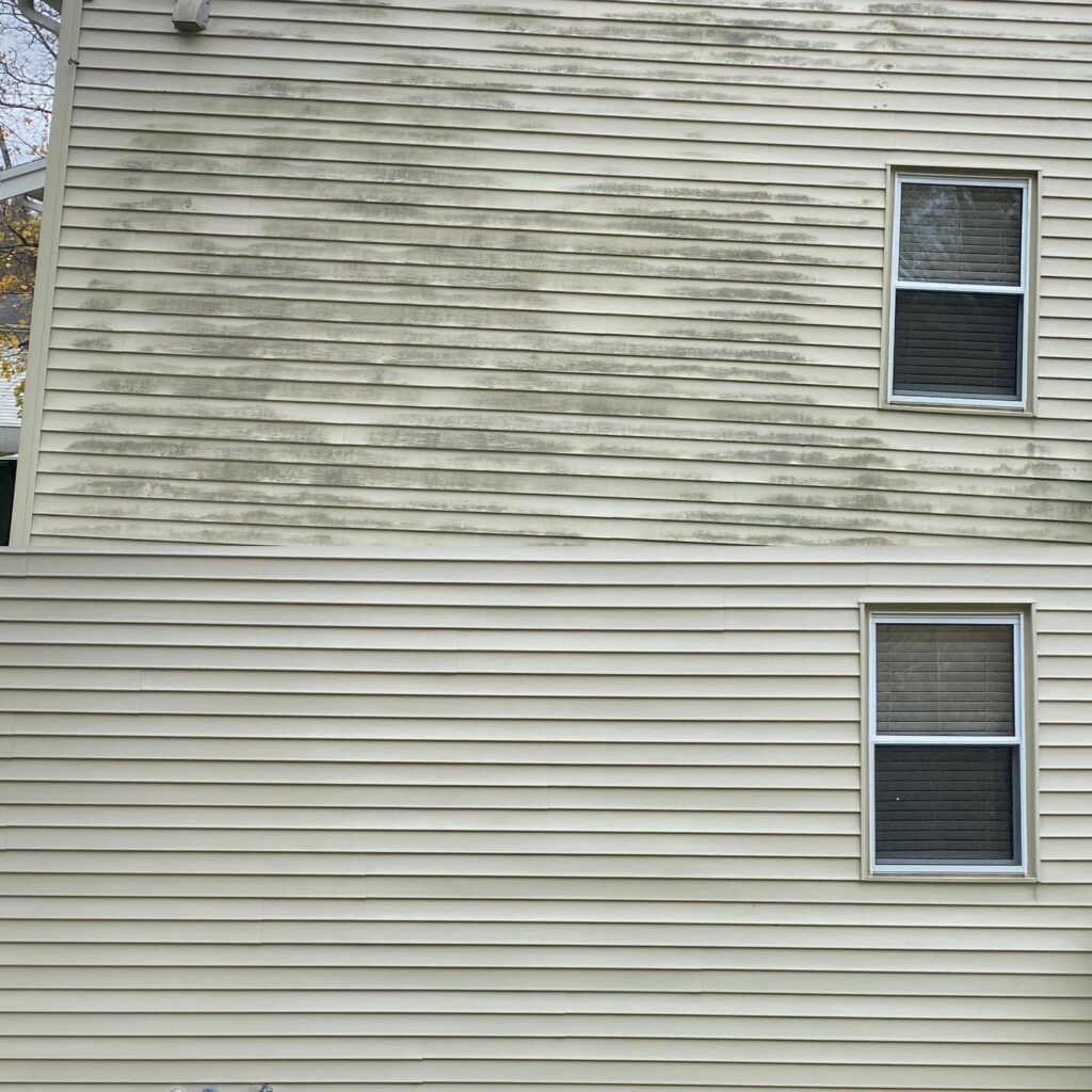 Vinyl House before and after soft washing