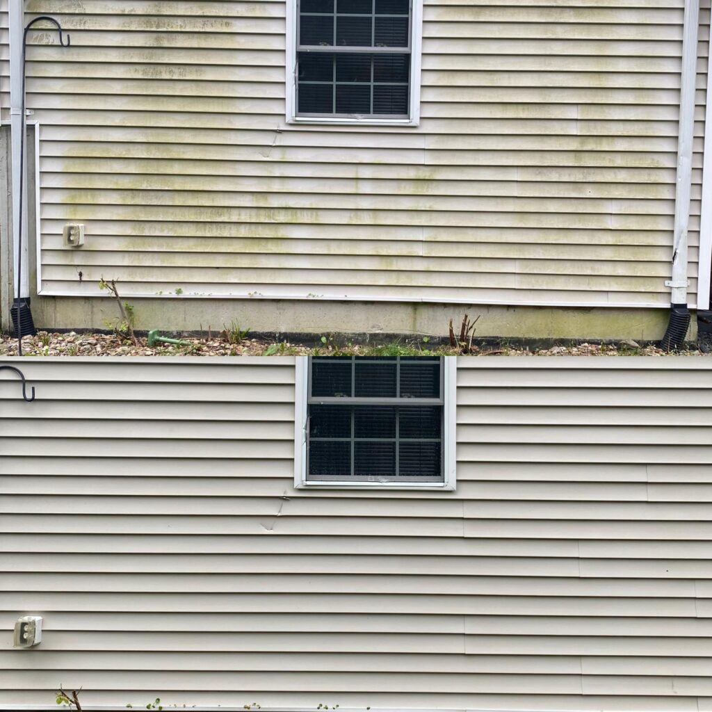 green removal siding